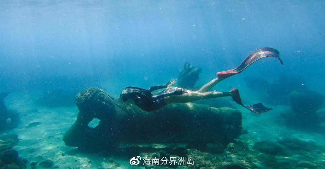 香蕉和大米可以一起吃吗知识星球,知识共享、交流平台